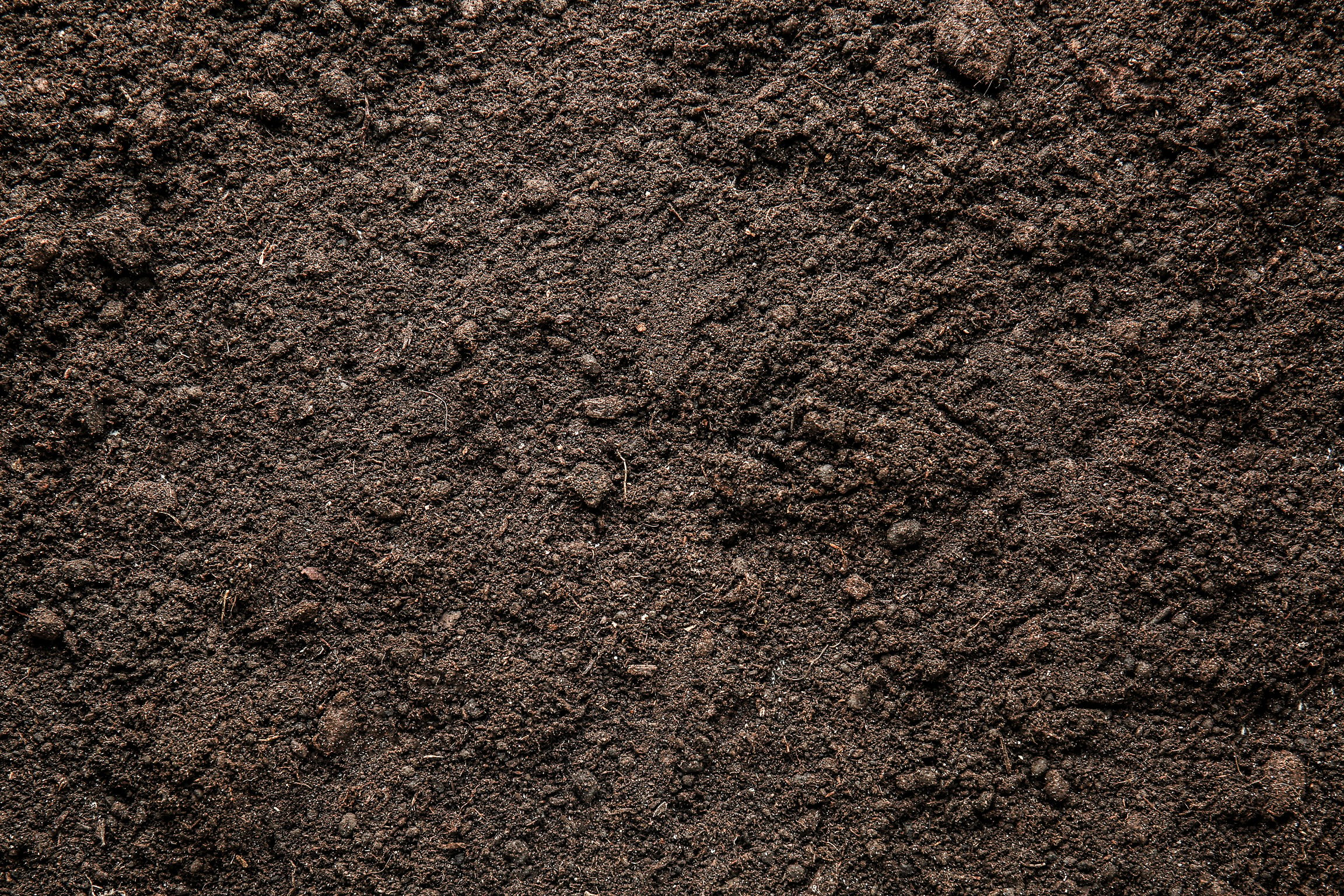 Heap of Soil, Closeup